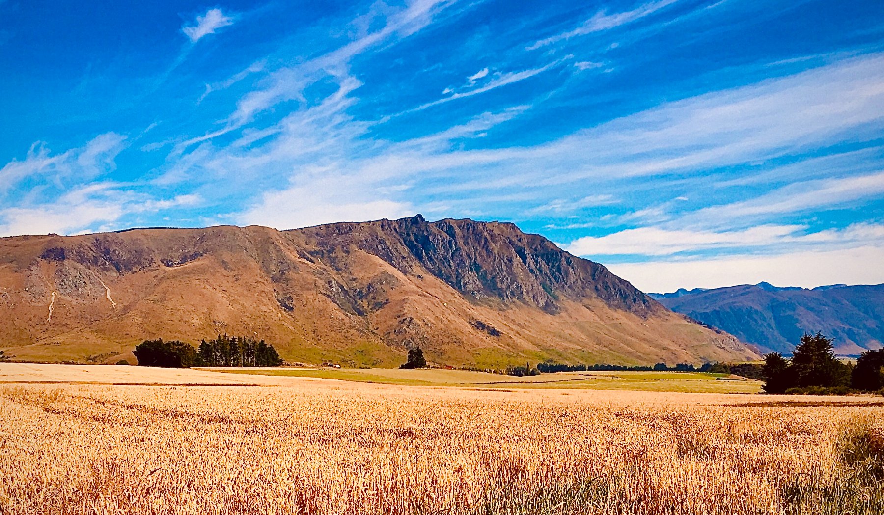 Aotearoa New Zealand landscape